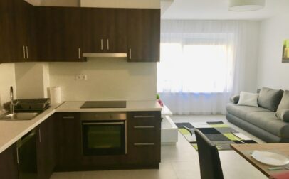 Szigeti street 69. A03 - 1 bedroom flat is for rent